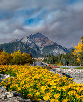 BANFF MAIN STREET ED-8450