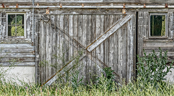 ed ED-barn door less weeds