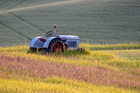 ed ED-0712