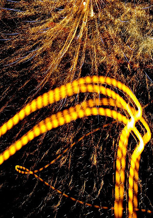 10527477_10204389372762265_2004511441569943786_n